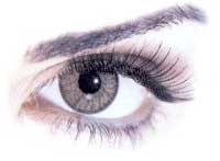 Soflens Natural Gris