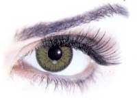 Soflens Natural Verde Amazona