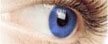 Acuvue 2 Colors Blue