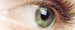 Acuvue 2 Colors Green