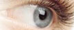 Acuvue 2 Colors Grey