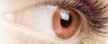 Acuvue 2 Colors Honey