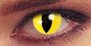 Crazy Lens Fuego