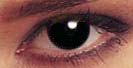 Crazy Lenses Negro