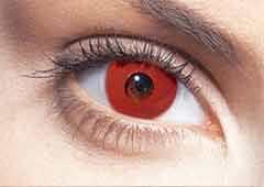 Wild Eyes 2 Go Dracula