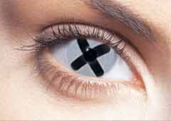 Wild Eyes 2 Go Knock Out