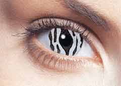Wild Eyes 2 Go Zebra