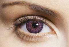 Freshlook hotsell lentillas colores